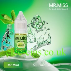 Mr Mint Nic-Salt Vape Juice from MR.MISS