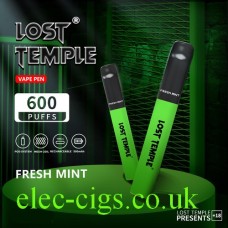 Image shows two Lost Temple Vape Pen Pod System Fresh Mint